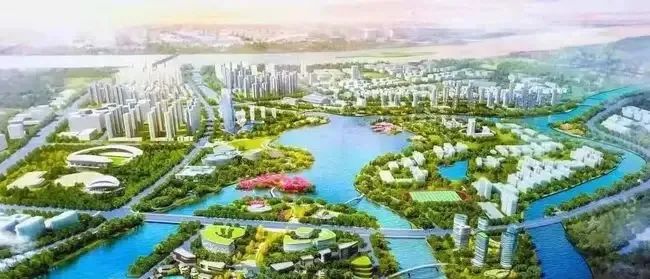 中国工程院院地合作项目之东南（福建）科学城研究推进